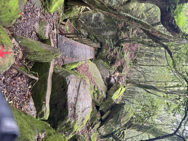 20250607 春谷養鱒場所上加里山 出大坪2805226