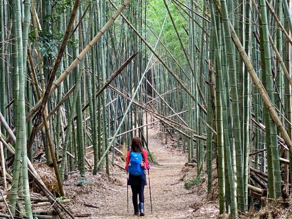 五元二角-東碧山莊O型環走837692