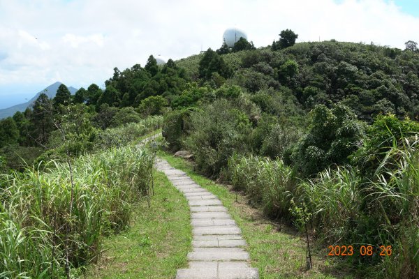 基隆 頂寮山、龍門山、五分山、頂子寮山2265949