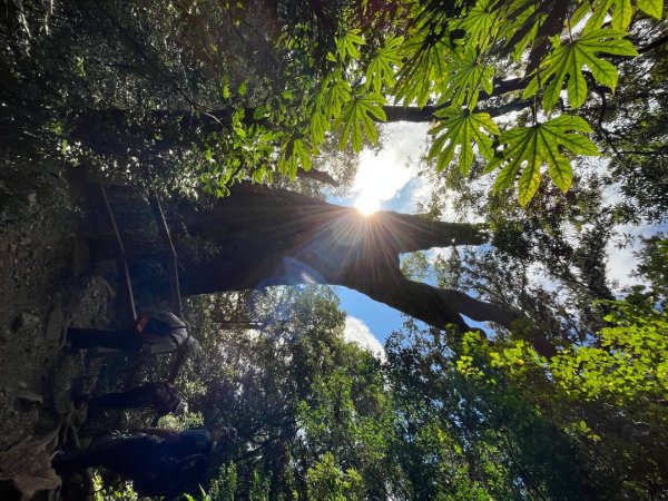 20221112_北得拉曼山2762268