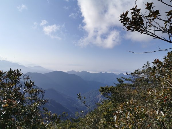 鳶嘴稍來 - 2020/2/8828508