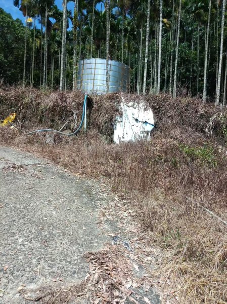 乾峰山字森林三角點3131478