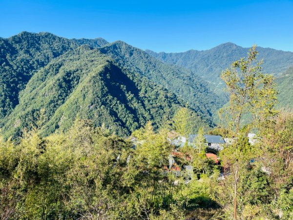 1140825司馬庫斯新巨木園區-司立富瀑布-部落觀景台2871146