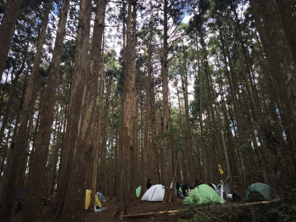 高島縱走、馬胎南坪古道2724271