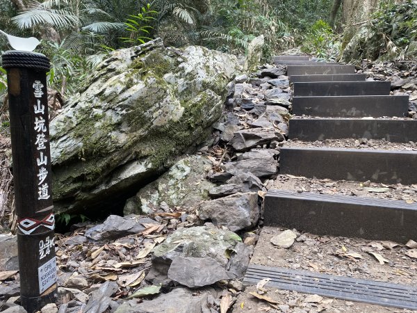 《雪山坑登山步道｜巨人之手森林秘境 Xueshankeng Hiking Trail & Giant2971086