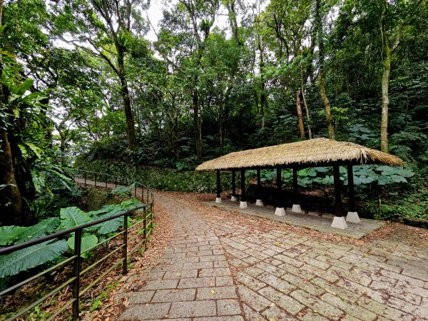 2025年臺北大縱走第七段：世界山莊至飛龍步道政大後山2757364