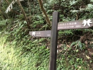 新北 坪林 灣潭古道1068526