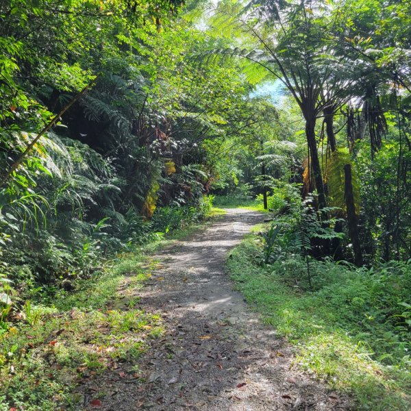 礁溪跑馬古道2519003