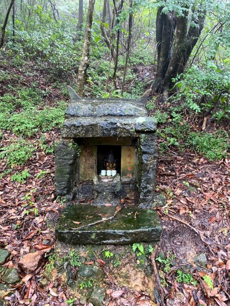 🌈貂山古道-黃金地質公園-黃金神社🌈2601288