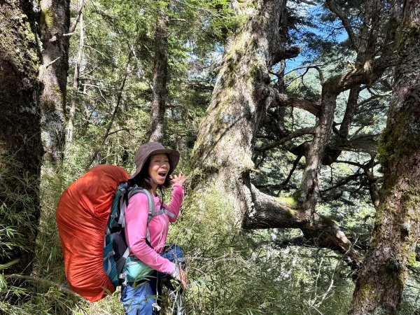 觀雲山莊經小完美谷上畢祿山O繞2917200
