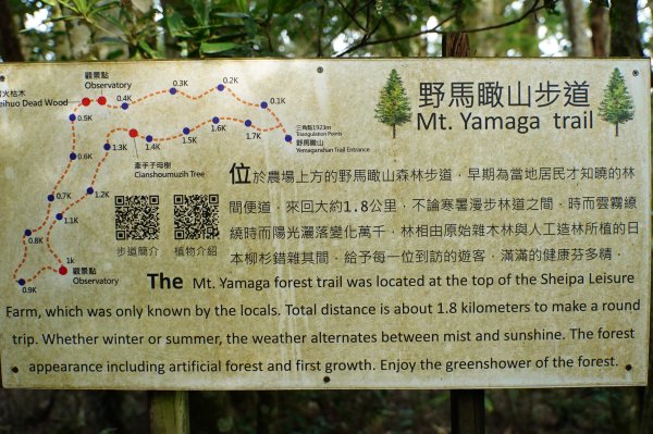 新竹 五峰 野馬瞰山2924660