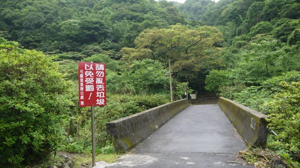 金字碑古道登山健行趣(淡蘭北路TK1-13)1809943