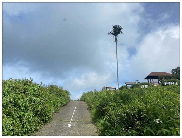 後棟仔山 O型路線2833453