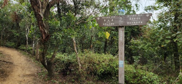 阿哲/小黑3031498