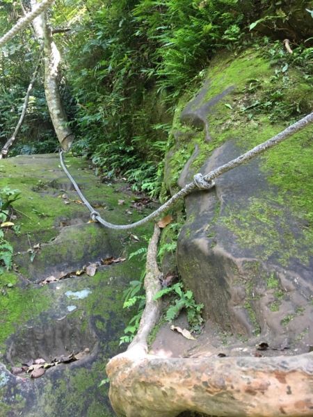 右去左回-石牛山300101