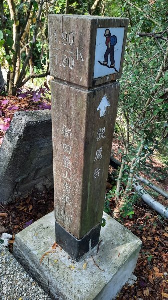 《台中》郊山飆汗｜潭子新田登山步道上聚興山O繞202510042904451