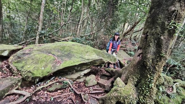 大混李棟重訓2883643