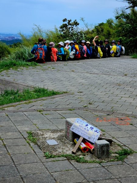 (大棟山系)405高地-2025微笑山線大縱走尋寶集章任務2844198
