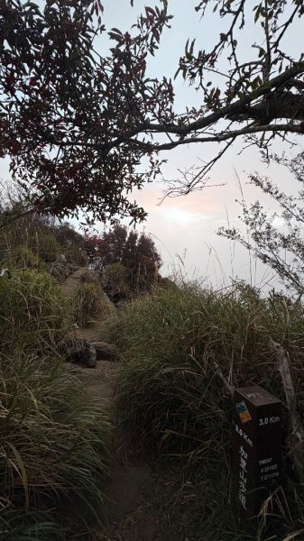 再見加里山2961843