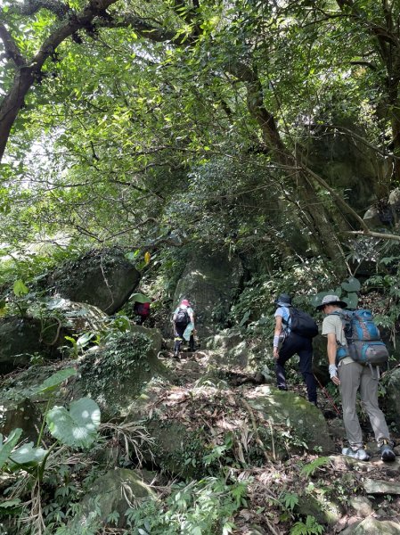 阿里磅,青山瀑布連走百年梯田2549089