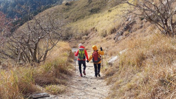 漫遊合歡群峰，小奇萊、合歡尖、石門山、哈哈山、石門北峰、南哈哈山1963242