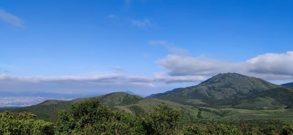 20230527 風櫃嘴-魚路古道-金山2252687