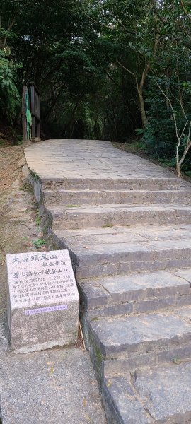 20211219 小百岳-台北大崙頭、尾山3056343