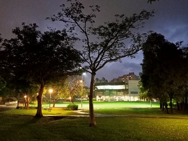 大湖公園《雨中夜行》1904690