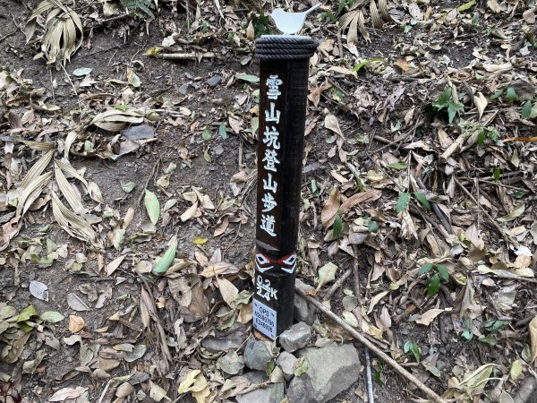 《雪山坑登山步道｜巨人之手森林秘境 Xueshankeng Hiking Trail & Giant2971063