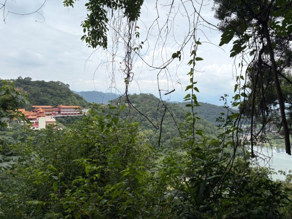 20250523 冬山-中山步道2795307