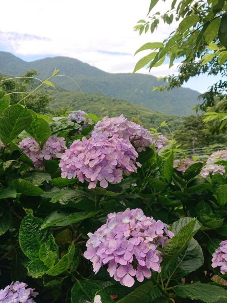 威赫山、多崖山、北插天山O走1746706