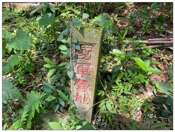 草嶺山、白石山、頭寮山 六連峰 O型路線2798525