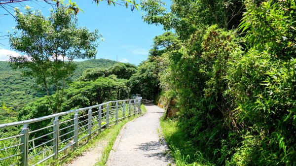 內雙溪自然中心2808687