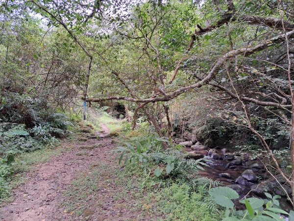 淡蘭中路第四段：威惠廟到灣潭古道登山口3104484