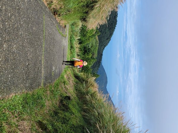 苗圃-七星山主,東峰-大屯山主峰-二子坪-202410262859689