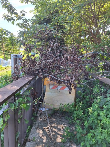 龍昇湖環湖步道+鄭漢步道202509132894806