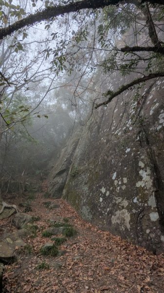 橫龍山、橫龍古道2682957