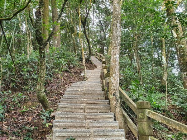 出關古道:聖關段（關刀山步道）（小百岳）1222227