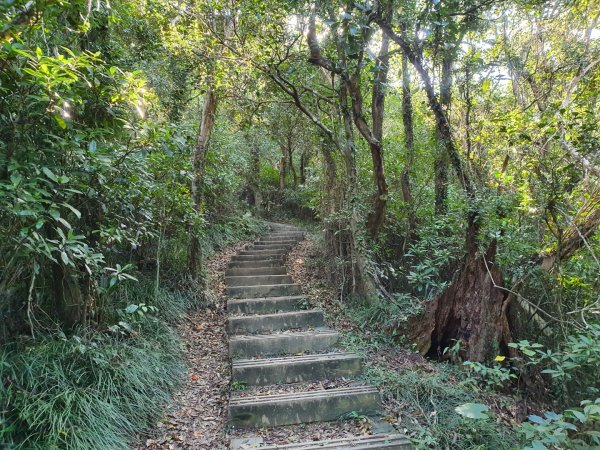 帽子山步道1237730