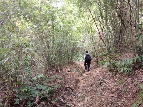 基隆市三層山+湳子大崙+淡基橫斷古道+面桶寮土地公2982234