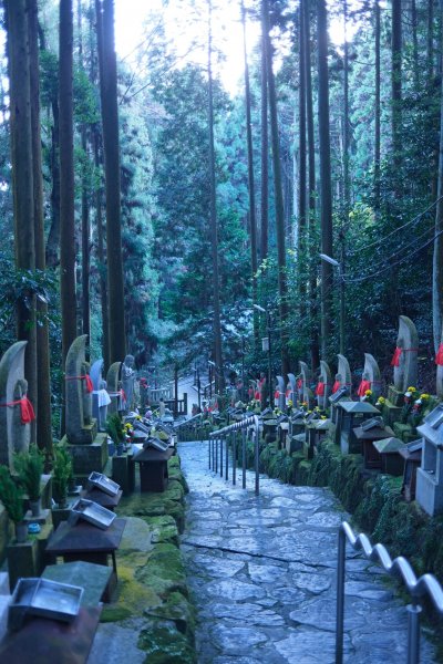 【海外健行】生駒宝山寺-奈良1942294