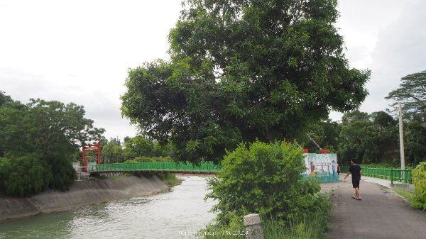 《南投》颱風過後｜竹山下坪吊橋河岸步道202407272559829