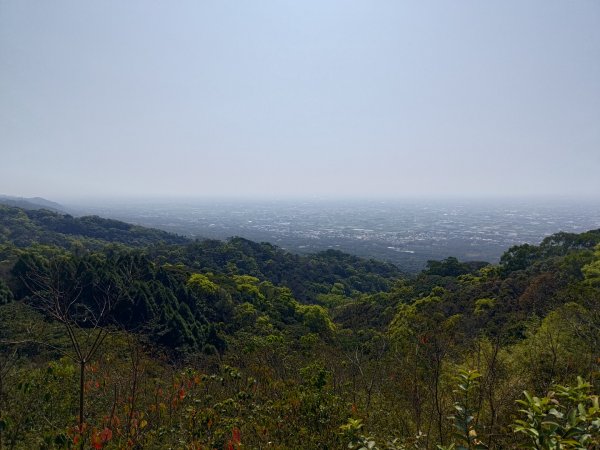 藤山步道登樟普寮一等三角點+挑水古道2749490