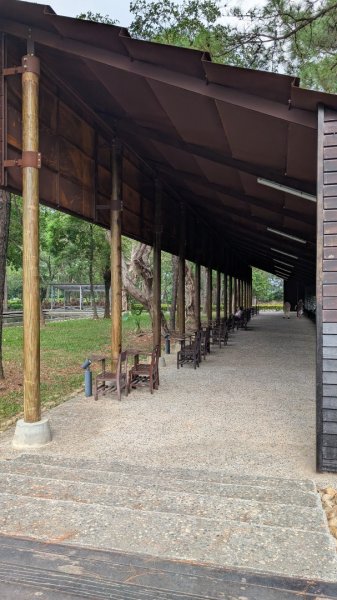 大湳森林公園2879730