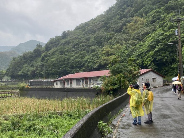 《2025草嶺古道芒花季｜雨天版完整攻略 × 七顆寶石路線實走》2949318