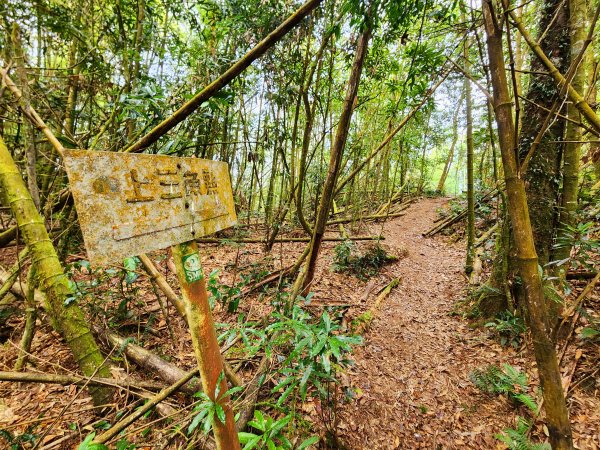 小百岳集起來-鳳凰山2183160