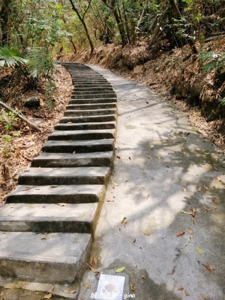 【南投。草屯】蜿蜒步道很親民。 中興新村虎山步道1383072