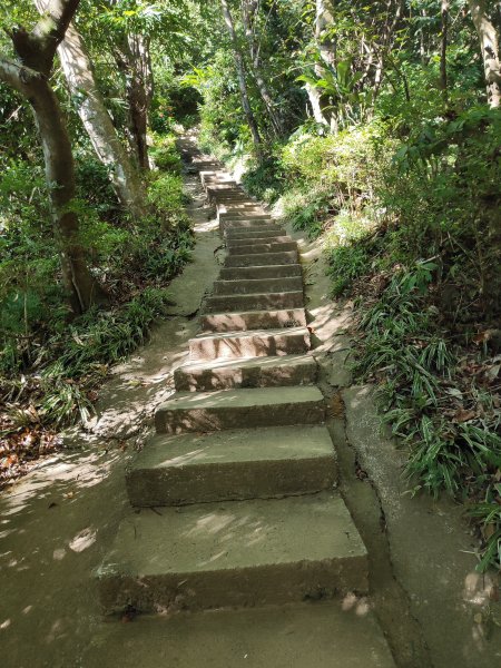 微笑山線：【大棟山系】405高地段2874150