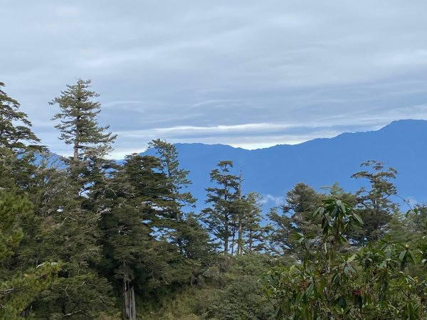 1131215大塔山步道2669087