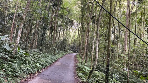 過坑山快閃2685079